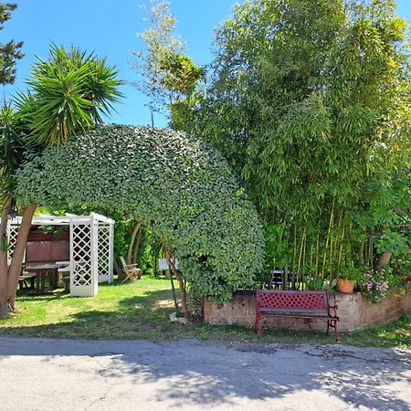 Pier Delle Vigne B&B-2