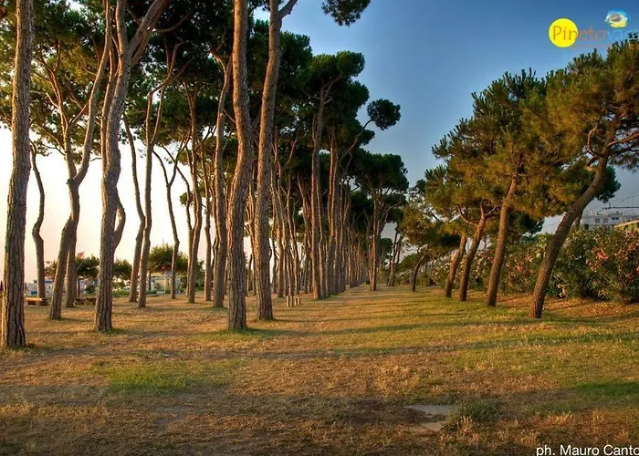 Residence Claudia Int. L - Pineto Vacanza