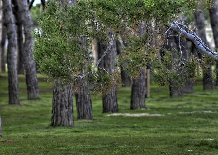 Hotel adatto agli animali: Hotel Mare Blu -- Boutique